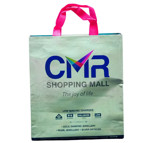 Laminated Light Green Glossy Shopping Bag (5000, 17 X 14 X 5)