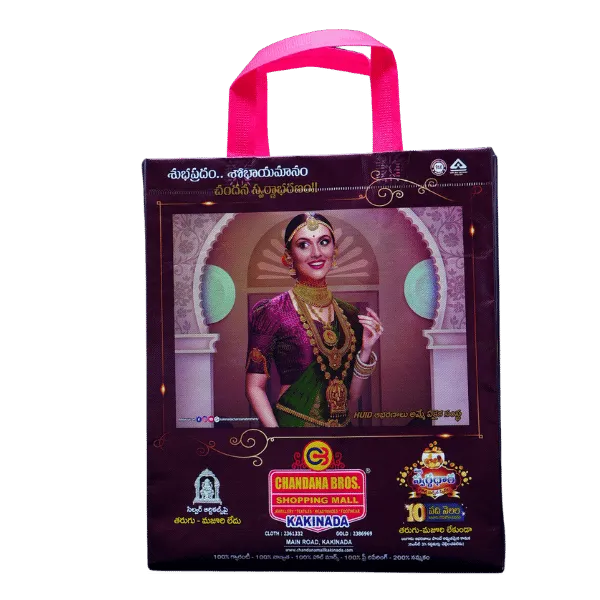 Elegant Dark Brown Showroom Bag (5000, 17 X 14 X 5)
