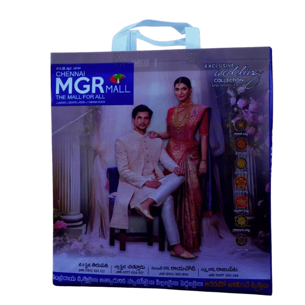 Blue & Purple Bag (5000, 17 X 14 X 5)